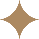 graphic icon of diamond